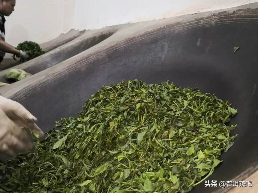 杀青，普洱茶越陈越香的最基础因素