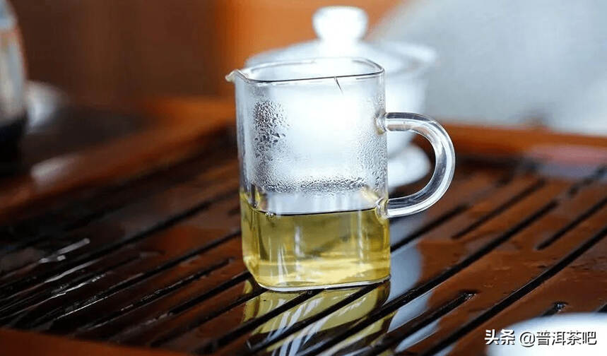 普洱茶山行：景迈，一杯兰香韵