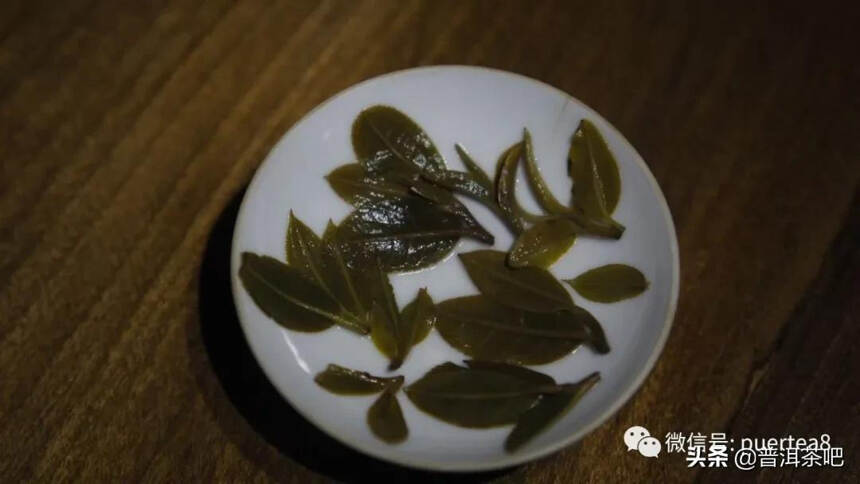 「干货分享」古六大茶山之首倚邦大黑树林普洱茶的特点