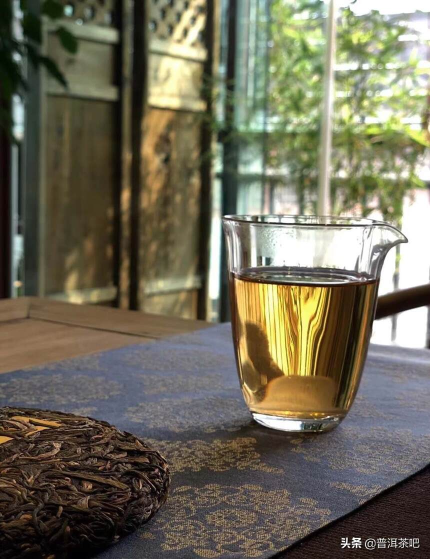 班章——一个孕育茶王的宝藏之地