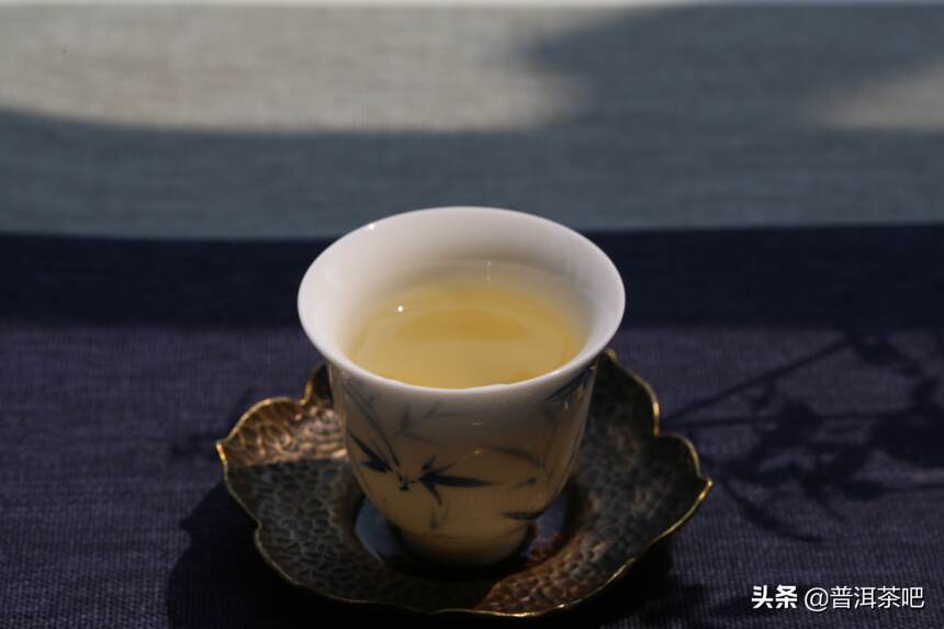 春茶季完全不懂普洱茶的人，怎么买普洱茶？