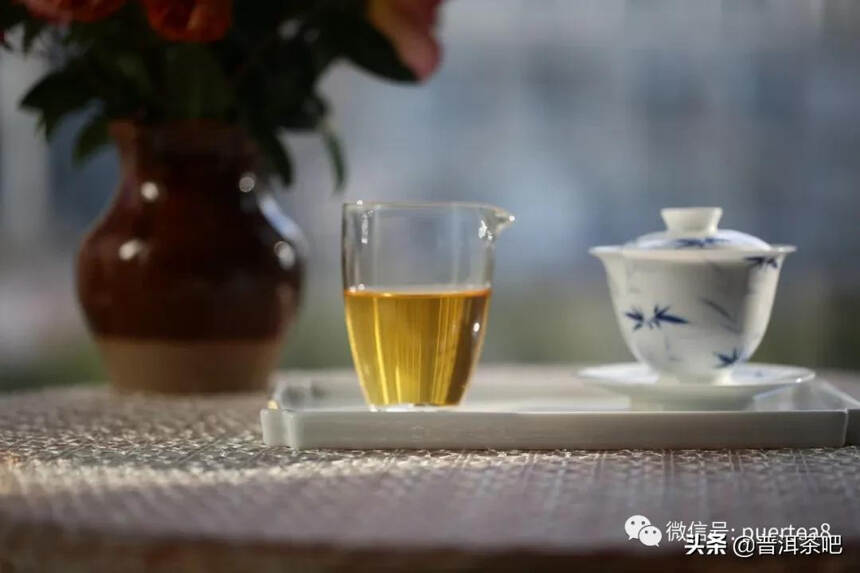 「干货分享」影响普洱茶品质的四大自然因素