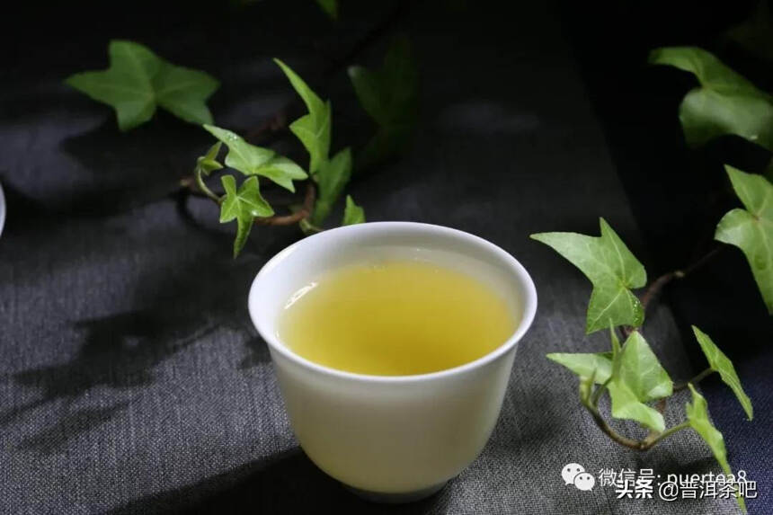 「答疑解惑」存什么样的普洱茶才有潜质，如何挑选古树茶？