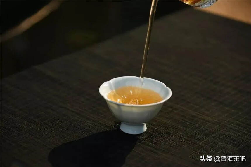 「答疑解惑」普洱茶的呈味物质都有哪些？