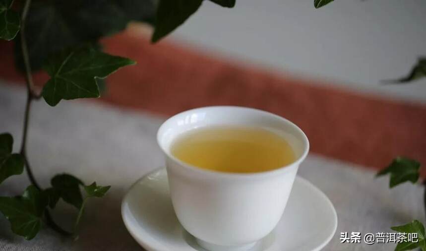 「答疑解惑」丨普洱古树茶树龄越大越好喝？
