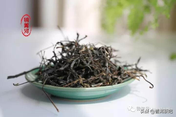 「干货分享」瑶区普洱茶仙境之铜箐河古茶园