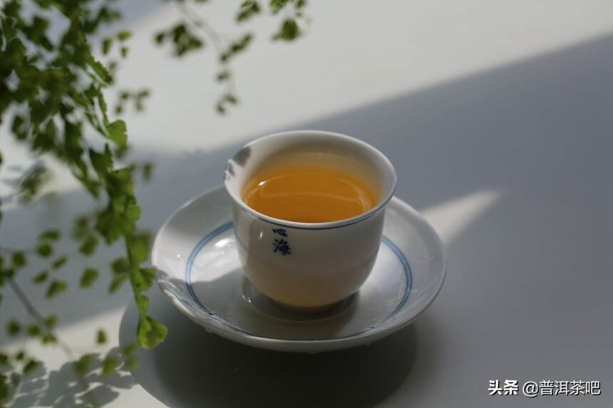 普洱茶​新茶、老茶、生茶、熟茶冲泡技巧解析（一）