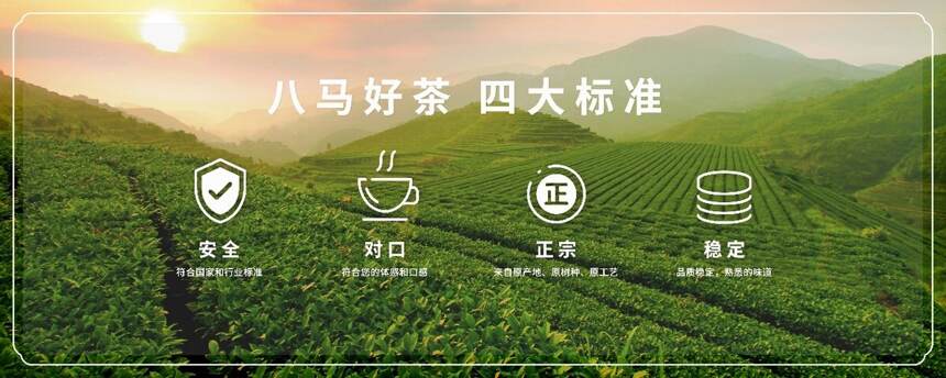 对标国际一流标准丨八马茶业“圳”选杯杯好茶