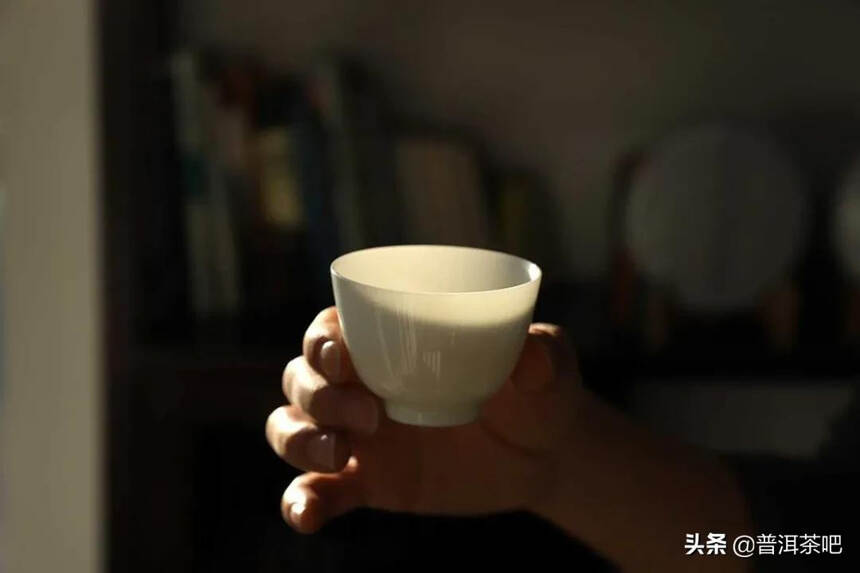 「答疑解惑」临沧最有名气普洱茶山有哪些？