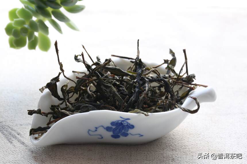 春茶季完全不懂普洱茶的人，怎么买普洱茶？