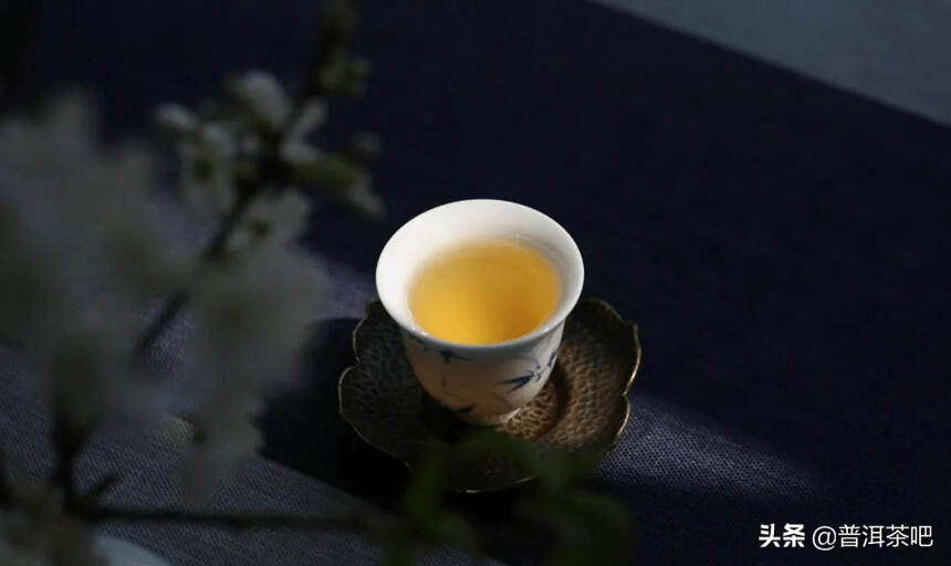 普洱茶山行：景迈，一杯兰香韵