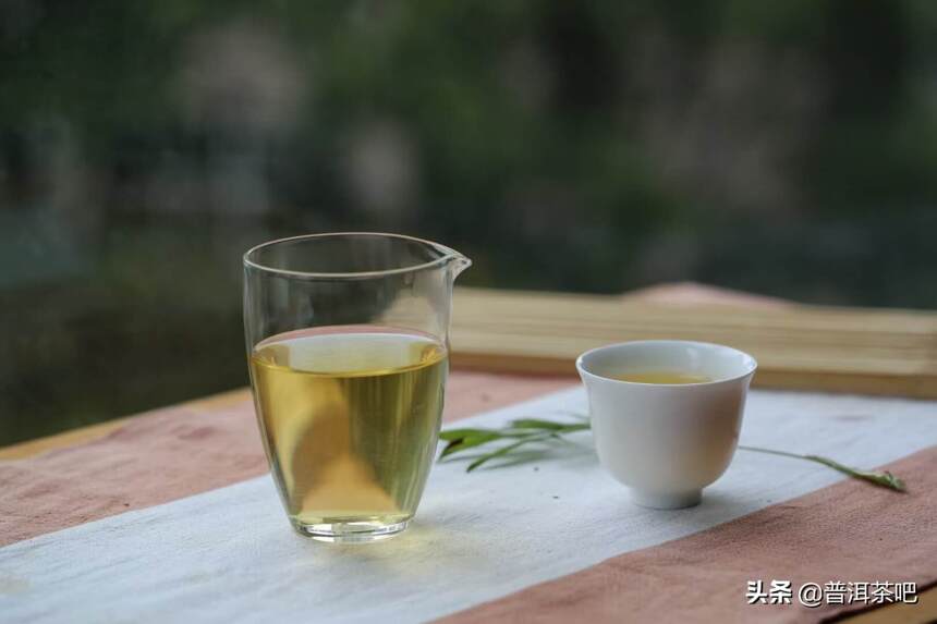 普洱茶中的小叶种主要分布在哪些地方？