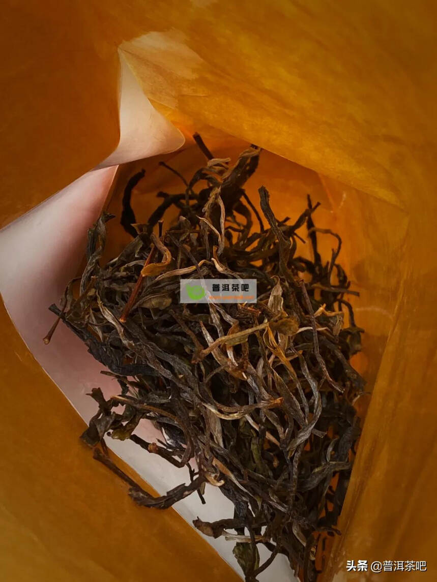「干货分享」古六大茶山之首倚邦大黑树林普洱茶的特点