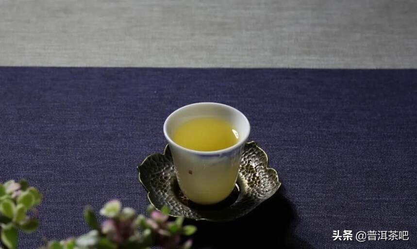 「干货分享」据说，倚邦是普洱茶的起点，也是喝茶人的终点