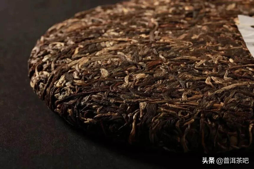 「干货分享」千家寨，来自普洱古树茶区的原生之味
