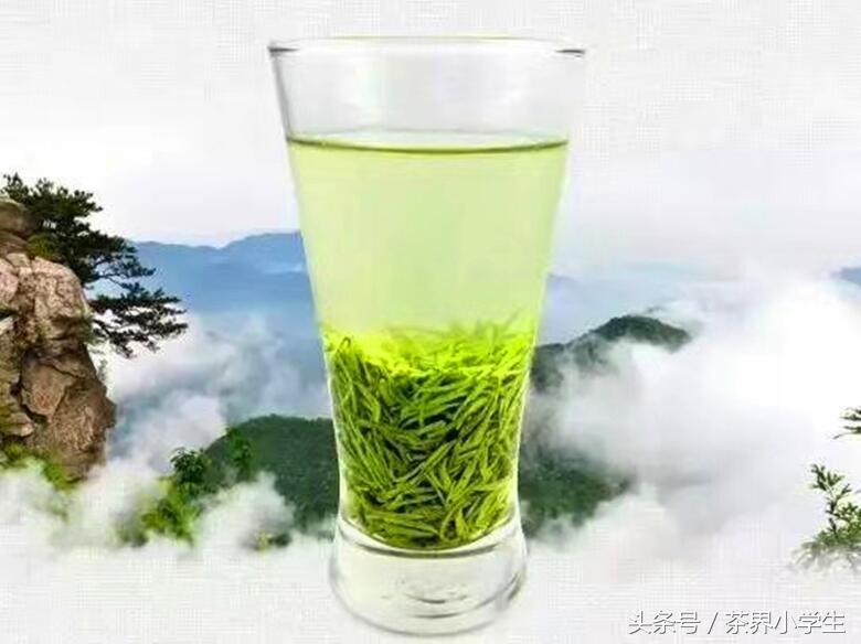 春茶来了哟（5）—河南信阳毛尖：独特色、香、味、形，名优绿茶
