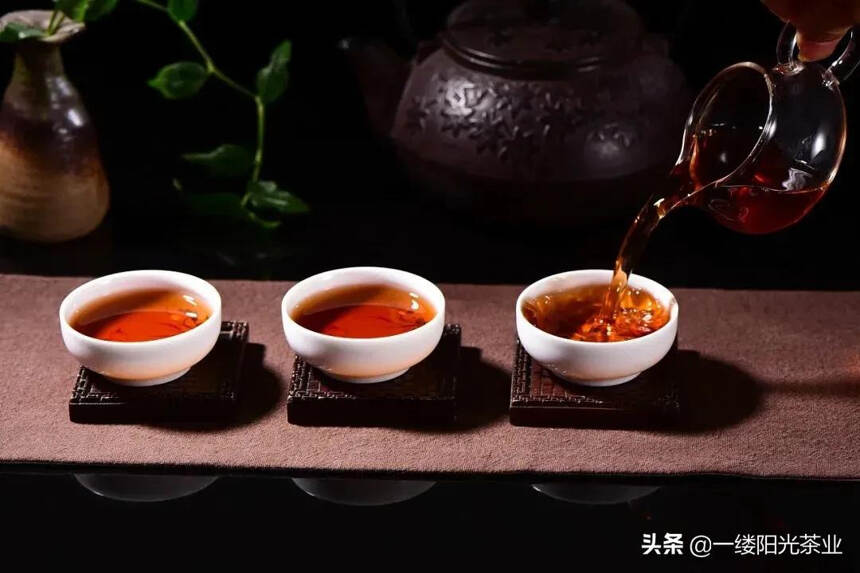 茶树的秘密：用同一种茶树可以做成任意品种的茶？