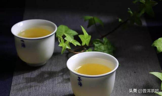 【干货分享】品饮普洱茶在春夏秋冬四个季节中变化