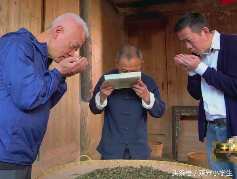 吴晓波、孙冕向白茶老师傅讨茶喝，并学习茶叶感官五项审评法