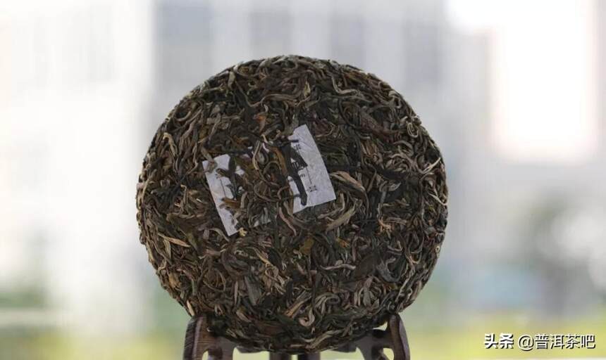 揭秘普洱茶最神秘山头——那卡古树茶