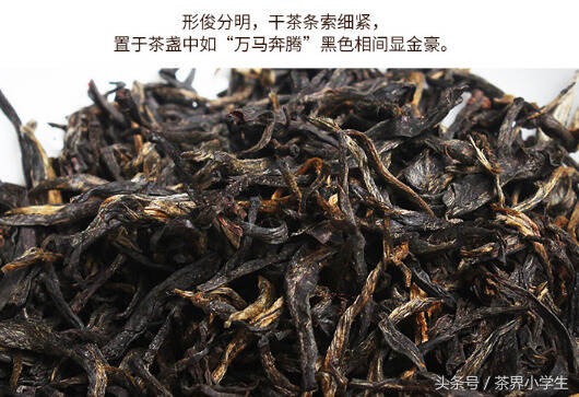 红茶产地（19）——浙江绍兴越红（代表茶：越红功夫红茶）