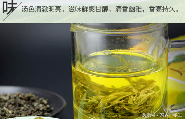 绿茶产地（13）——云南名优绿茶