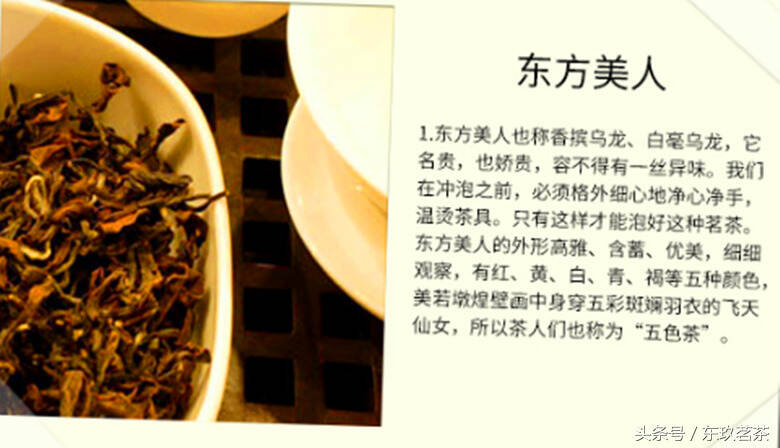 茶中珍品48——台湾东方美人茶（香槟乌龙，干茶有5种颜色相间）
