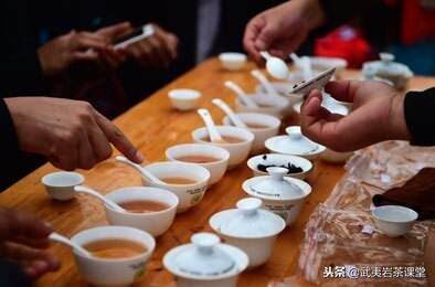 武夷岩茶品种茶传记：纯种大红袍，原名叫奇丹