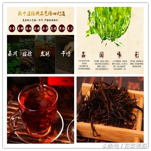六大茶类的性味及适应人群（上—黑茶和红茶）