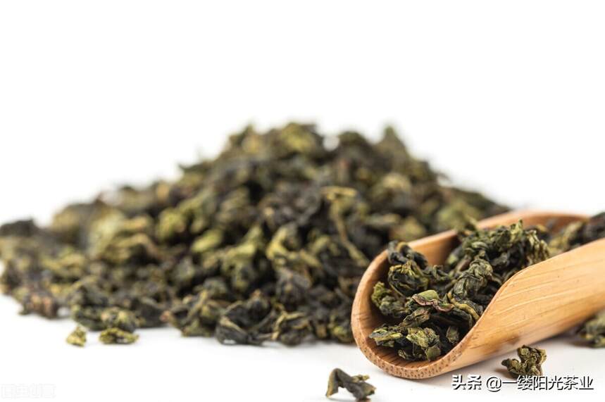铁观音到底算绿茶还是青茶？