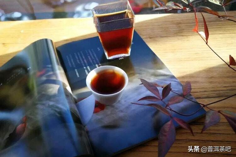 滇红茶和普洱茶的区别