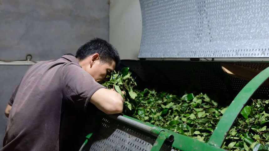 除了肉桂“肉贵”，为什么武夷岩茶的其他品种也卖得那么贵？