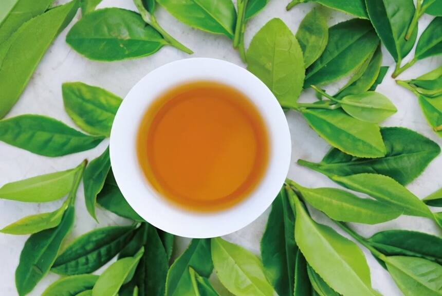 品茶 | 方寸间的幸福——漳平水仙
