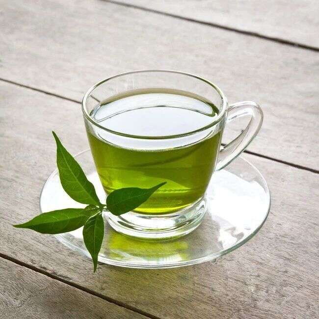 茶小菓｜六大茶类之“绿茶全集”！