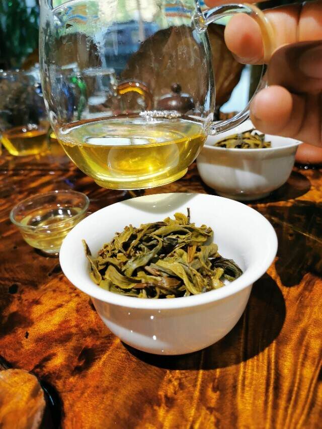 普洱茶大叶种和中小叶种的区别