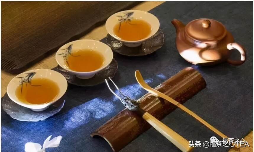 福建之茶 |《大观茶论》中的“白茶”究竟是什么茶？