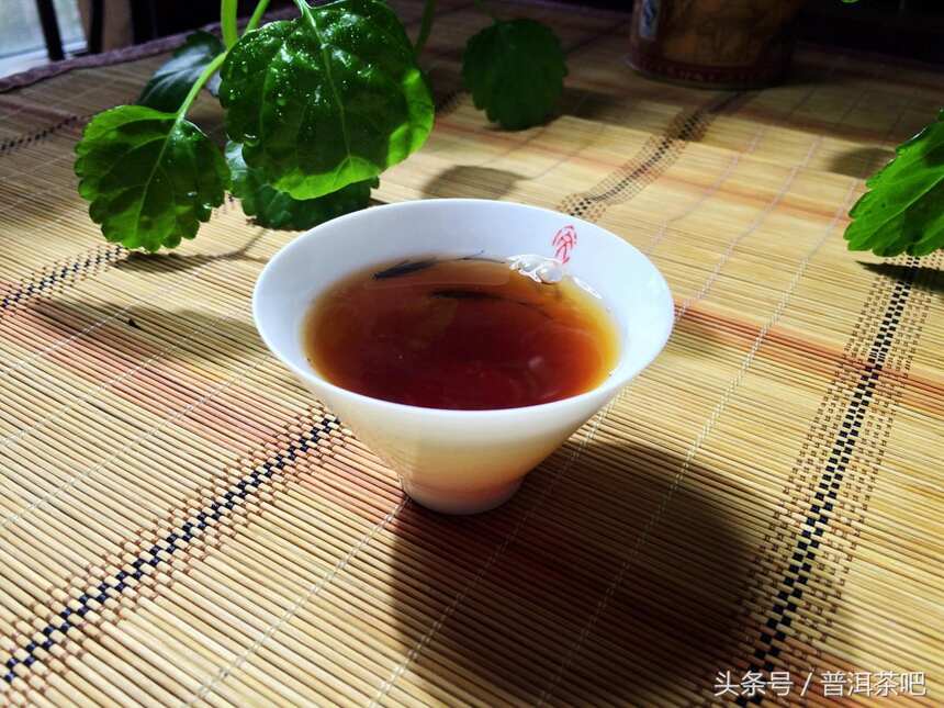 寻找临沧、勐海和易武普洱生茶中的韵级茶