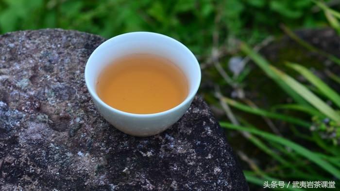 我们常说的“返青”是什么？武夷岩茶“返青”从哪些症状看出来
