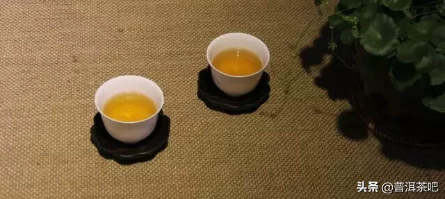 【干货分享】辨析普洱茶的酸、甜、苦、涩个中滋味