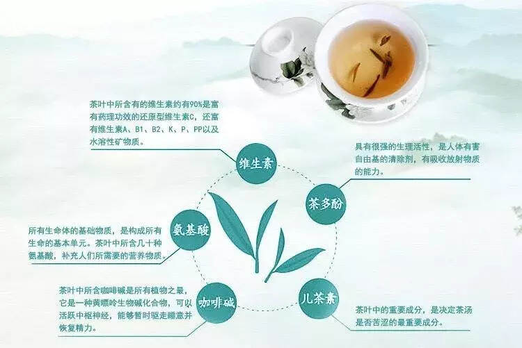 越贵的茶对身体越好？学会4个字，你一定能买到好茶！