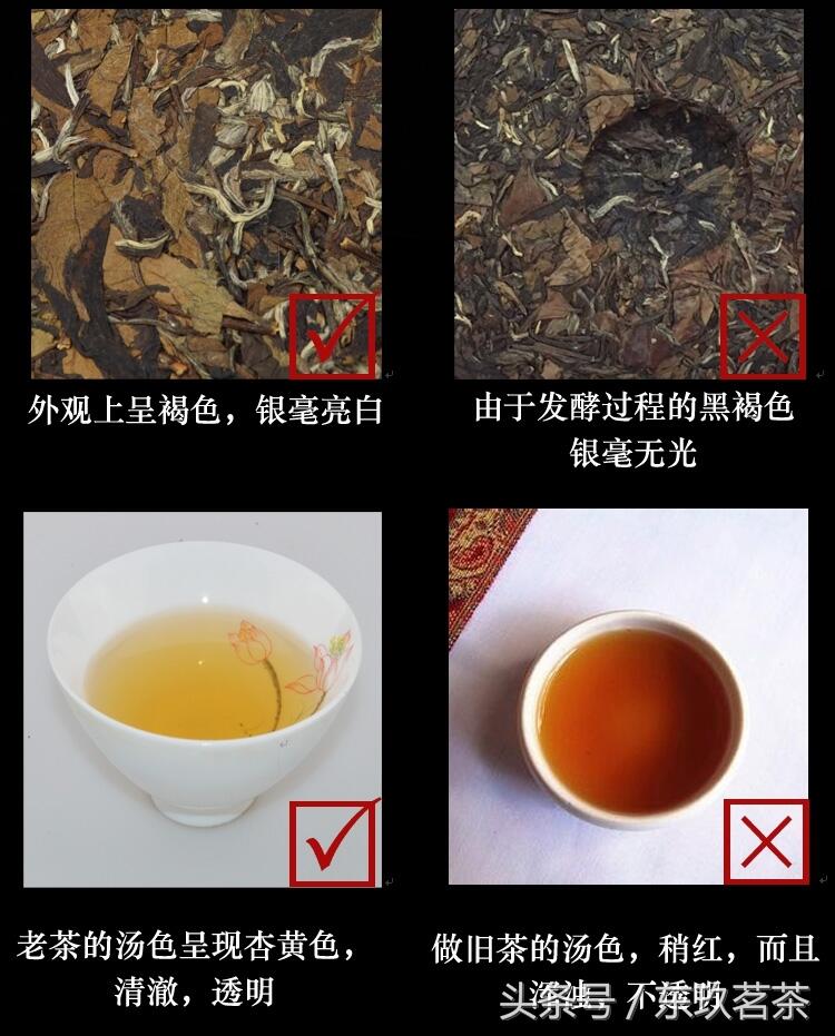六大茶类——常见名优白茶