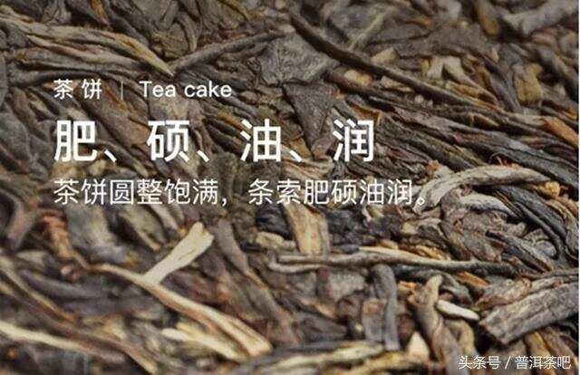 大益粉疯抢【云起】，这个茶怎么样？