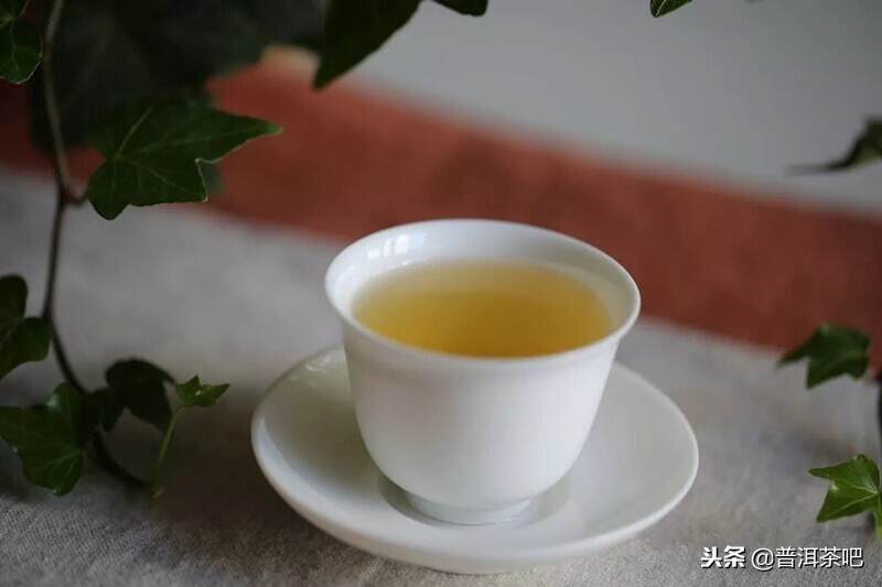 鉴别普洱茶丨三杯茶测试普洱茶的陈化价值