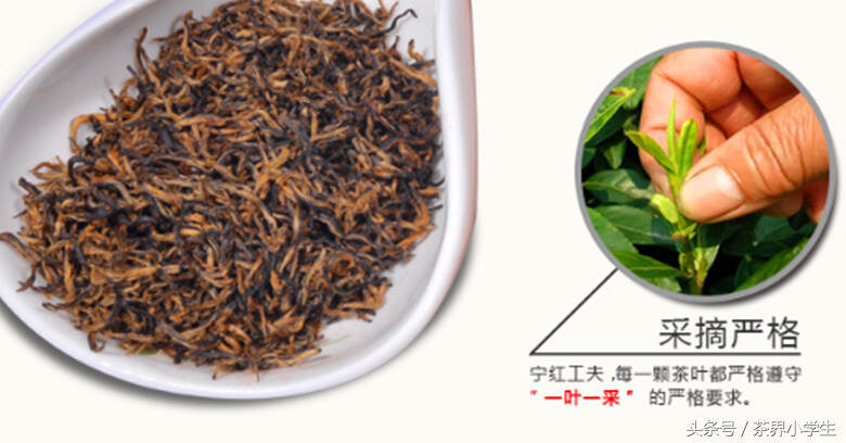 红茶产地（7）——江西修水（代表茶：宁红功夫）