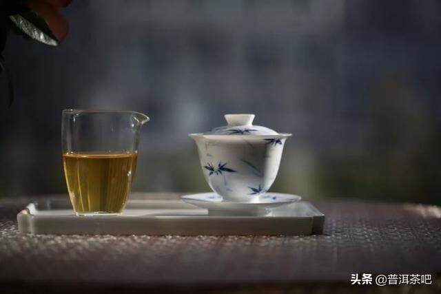 「干货分享」根据叶片就能分辨古树茶和台地茶吗？