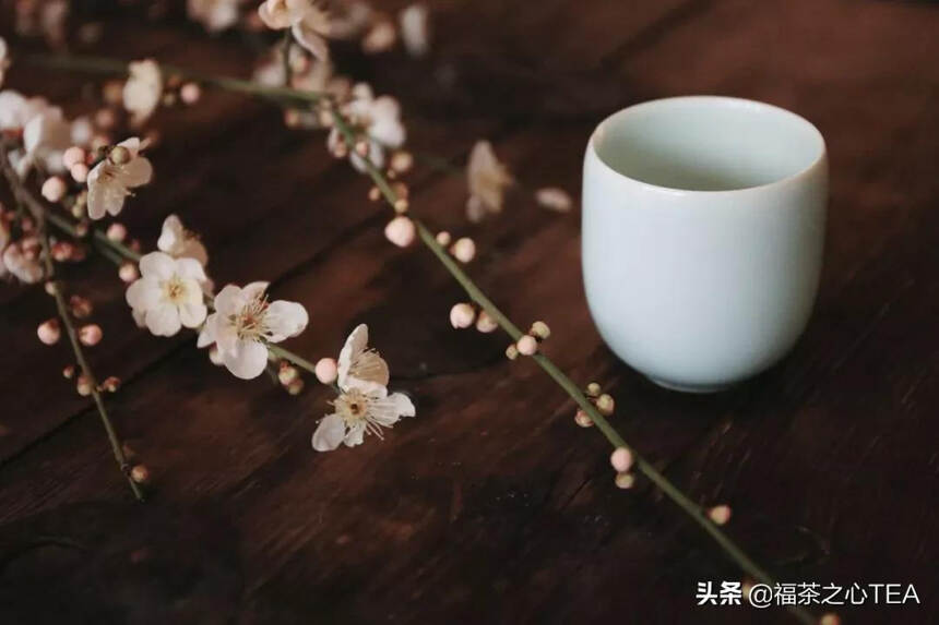 蔡澜 痛批“中国茶道”的背后