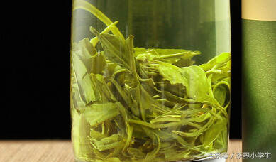绿茶产地（14）——福建名优绿茶
