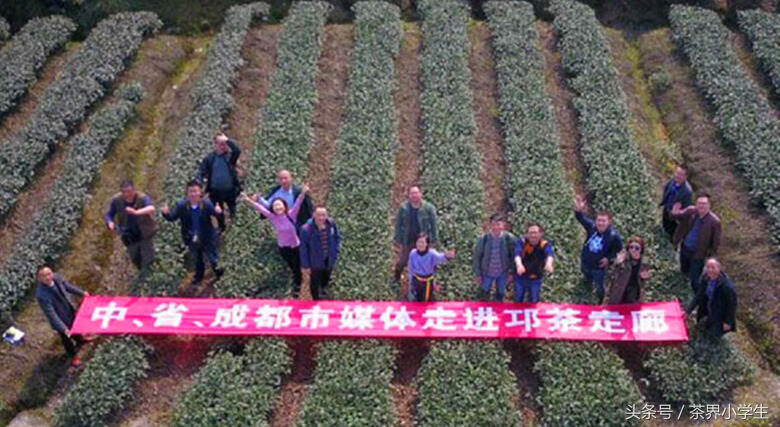 3月，采新茶哟—成都采茶节将于3月18日在邛崃举行，6大主题活动