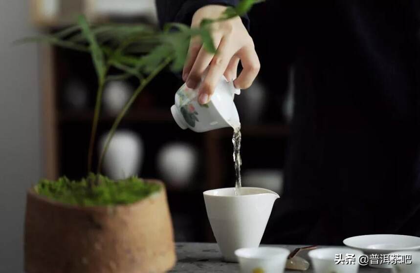 普洱茶抽检合格率达99%以上，为什么还有那么多假茶？