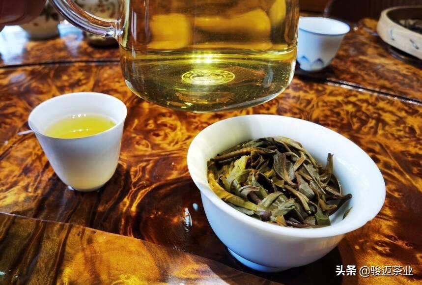 春茶贵，贵如金｜春茶被众多茶人独宠的六大原因！